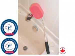 Long Handled Sponge | Parsons